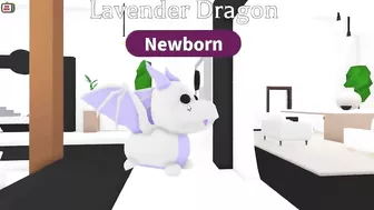 THE RAREST PET IN ADOPT ME!? - How to get the NEW Lavender Dragon (Roblox)