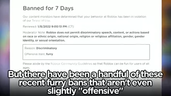 Roblox BANS "Furries"?