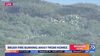 Evacuations remain as brush fire burns near Laguna Beach