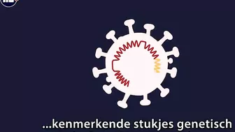 Waarom de BA.2-variant van omikron de 'sluipende variant' wordt genoemd | NU.nl