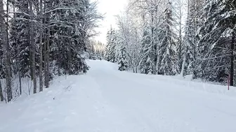 Compilation of Hyundai's Rally Sweden 2022 tests