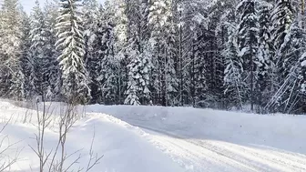 Compilation of Hyundai's Rally Sweden 2022 tests