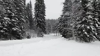 Compilation of Hyundai's Rally Sweden 2022 tests