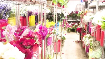 Virginia Beach florists churning out Valentine's Day bouquets despite ongoing shortage