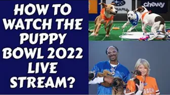 How to watch the Puppy Bowl 2022 Live Stream?