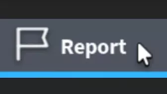 Reporting On Roblox Be Like...