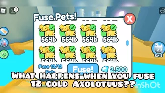 What Happens When You Fuse 12 Gold Axolotuus??? - Pet Simulator X Roblox