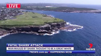 Fatal shark attack at Sydney's Little Bay beach | 7NEWS