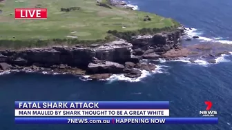 Fatal shark attack at Sydney's Little Bay beach | 7NEWS