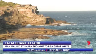 Fatal shark attack at Sydney's Little Bay beach | 7NEWS