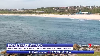 Fatal shark attack at Sydney's Little Bay beach | 7NEWS