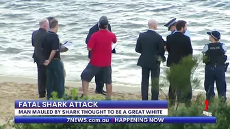 Fatal shark attack at Sydney's Little Bay beach | 7NEWS