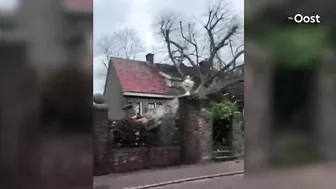 Compilatie: dit is de schade van storm Eunice in Overijssel | RTV Oost