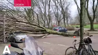 Gigantische schade door storm Eunice