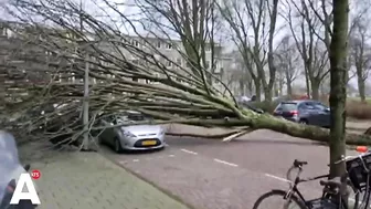 Gigantische schade door storm Eunice