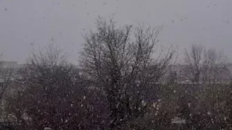 Storm Nora with Snow ???????? Copenhagen | 4K| #denmark #copenhagen #storm #snow #travel