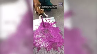 i love lean???? - tiktok compilation