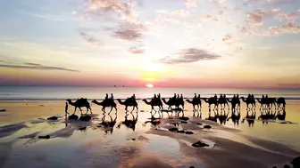 Top Things to Do in Broome, Western Australia, 2022 | Travel Guide