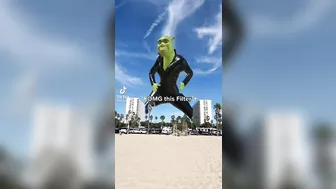 Shrek in the sky Tiktok Viral trend Compilation ???????? -Fairytale