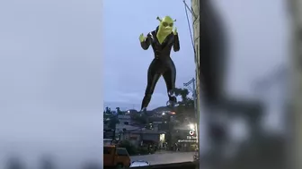 Shrek in the sky Tiktok Viral trend Compilation ???????? -Fairytale