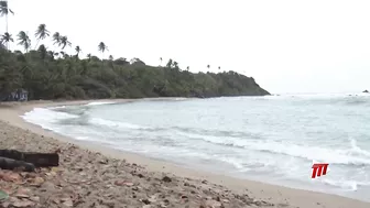 Toco Beach Clean Up