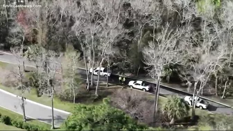 Jacksonville Beach police search wooded area for evidence in homicide