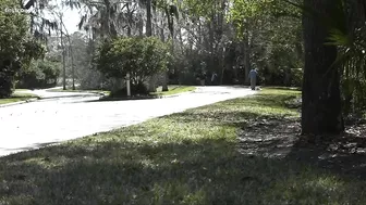 Jacksonville Beach police search wooded area for evidence in homicide