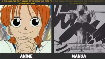 Anime Manga Differences in One Piece