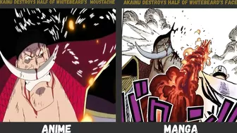 Anime Manga Differences in One Piece