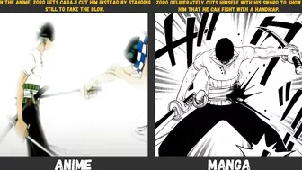 Anime Manga Differences in One Piece