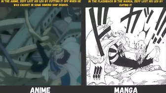 Anime Manga Differences in One Piece