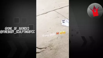 Best of WorldStar Instagram Compilation - Episode 9