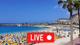 ???????? LIVE Amadores Beach Gran Canaria February 25, 2022 Weather Today Wetter Heute