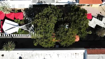 Miami by Air: Watch Drone Video of Miami Beach