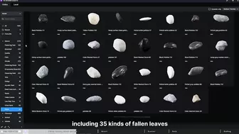 D5 Assets Library Updates｜Models｜Exterior Decorations | Fallen leaves, Stones, Landscape rocks