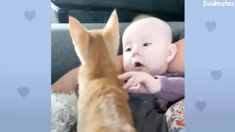 Baby Girl And Her Kitten Brother Are Completely Inseparable | The Dodo Soulmates