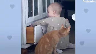 Baby Girl And Her Kitten Brother Are Completely Inseparable | The Dodo Soulmates