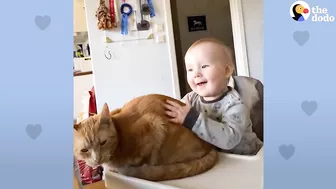 Baby Girl And Her Kitten Brother Are Completely Inseparable | The Dodo Soulmates