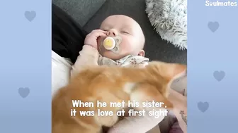 Baby Girl And Her Kitten Brother Are Completely Inseparable | The Dodo Soulmates