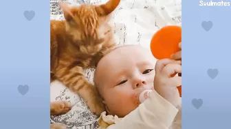 Baby Girl And Her Kitten Brother Are Completely Inseparable | The Dodo Soulmates