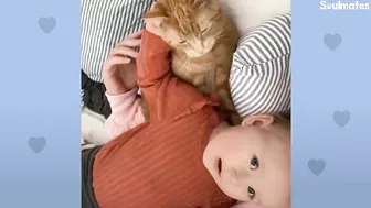 Baby Girl And Her Kitten Brother Are Completely Inseparable | The Dodo Soulmates