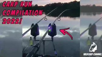 CARP RUN COMPILATION 2022! PART 5!