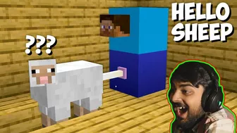 ???? SHEEP IS BAD - Minecraft Meme Mutahar Laugh Compilation ! WATCH it to the END !