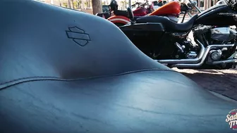 Saddle Tramp Motorcycle Accessories - On the Road in Daytona Beach, FL