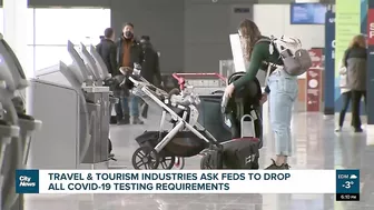 Travel and tourism industries call on the federal government to remove COVID-19 testing requirements