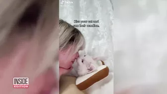 These Cloned Pets Are Not Your Normal TikTok Animals