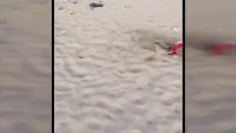 High school students skipping class left Miami Beach a total mess