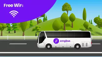 Choose zingbus for your ultimate comfort travel!