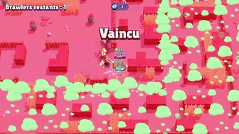 Vidéo brawl stars