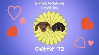 Starbox Dachshunds Compilation Chapter 72